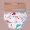Majteczki treningowe - DINOZAURY