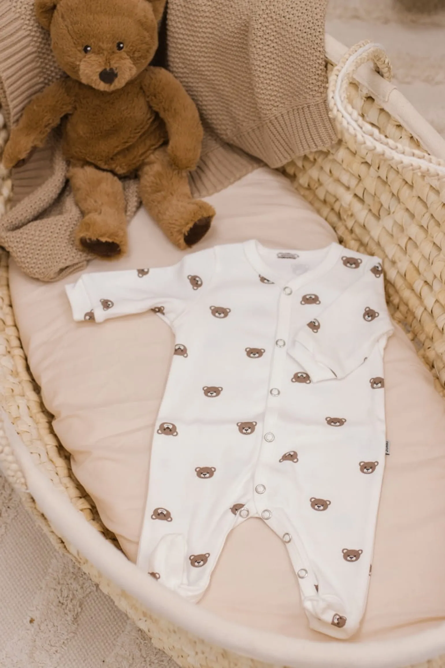 Pajacyk Bears